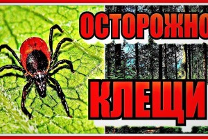 Средство от клещей для человека