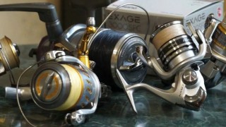 The best reel for spinning