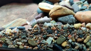 The best soil for aquarium