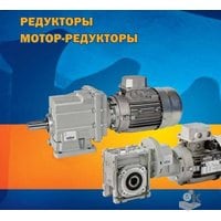 Worm gear