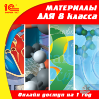 Онлайн обучение по программе 8 класса. Лицензия на 1 год